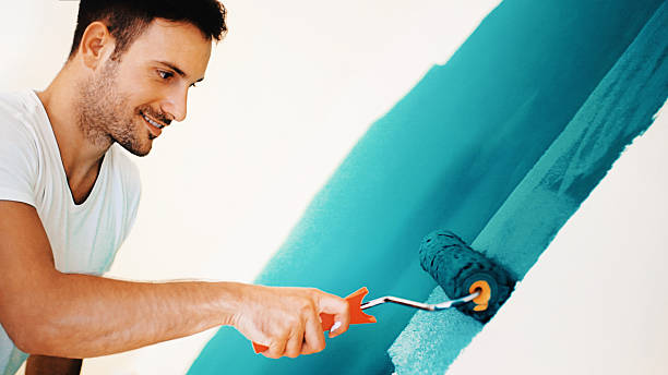 Professional Mold Removal in Jefferson, IA