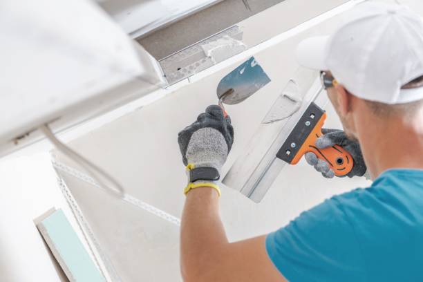 Best Airborne Mold Testing  in Jefferson, IA